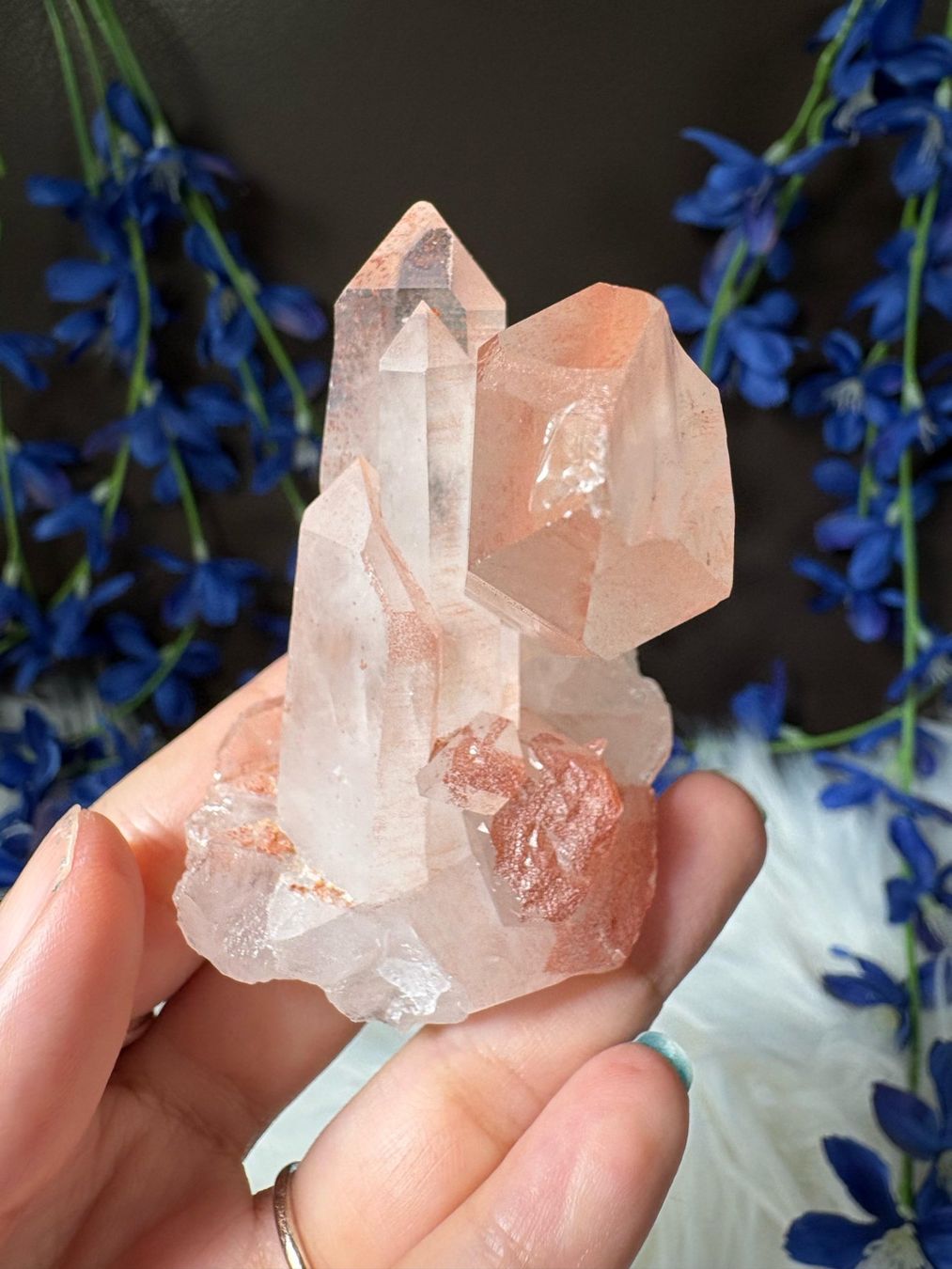 Minerali & Pietre curative: Rosa Quarz-Cluster – Nuovo (secondo la descrizione) da Neuheim venduto da m.hald 7