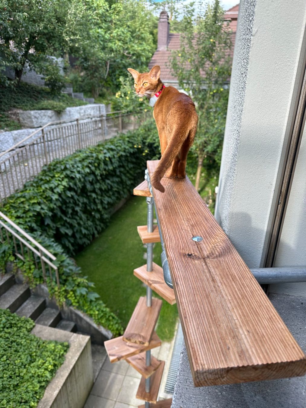 Scale: Katzenleiter / Katzentreppe – Usato da Bern venduto da toroksanyo 9