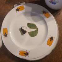Grande assiette 28cm ø.