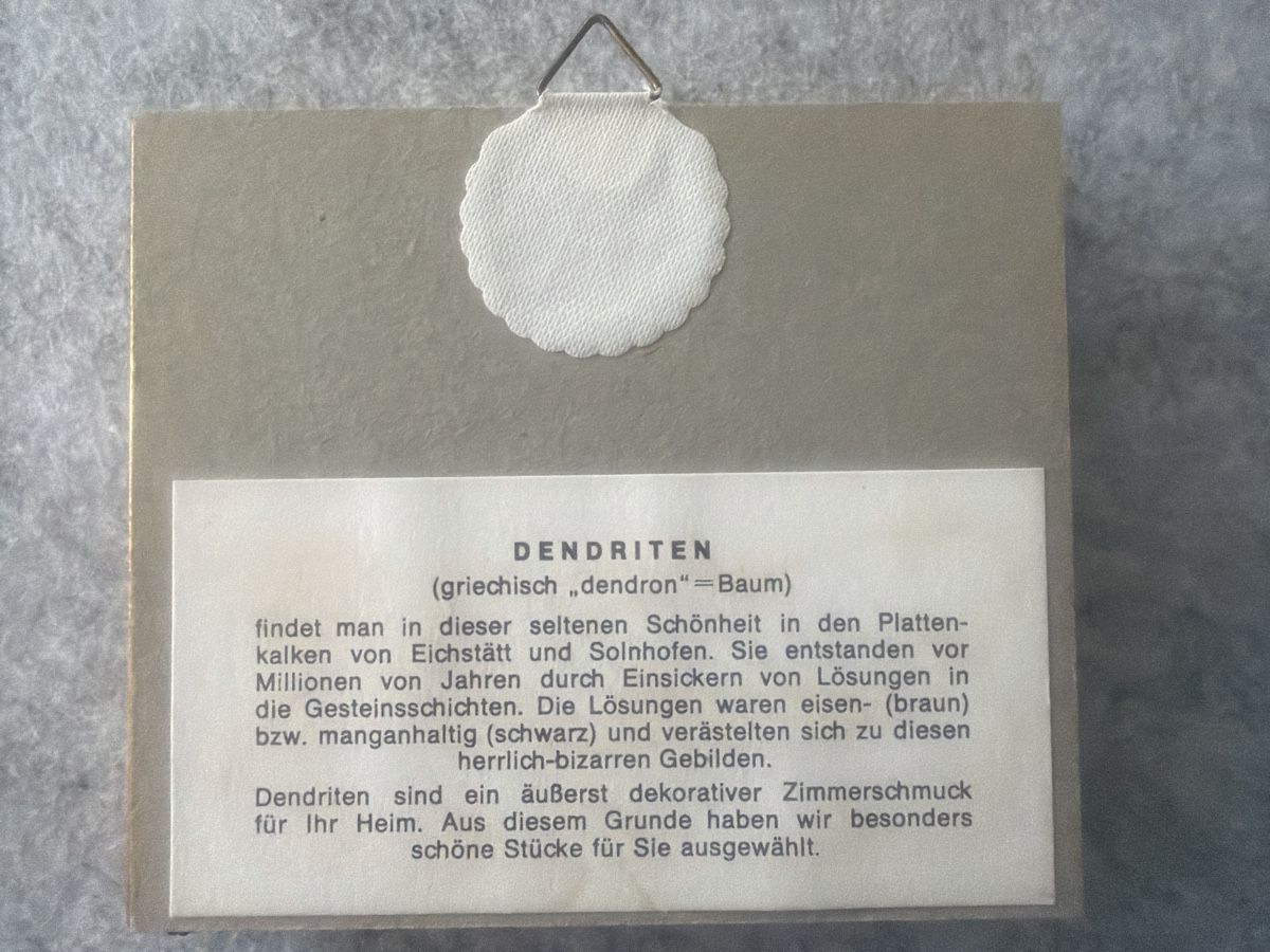 Minerali & Pietre curative: Mineralienbild Dendriten top Zustand – Nuovo (secondo la descrizione) da Fehraltorf venduto da T678 2
