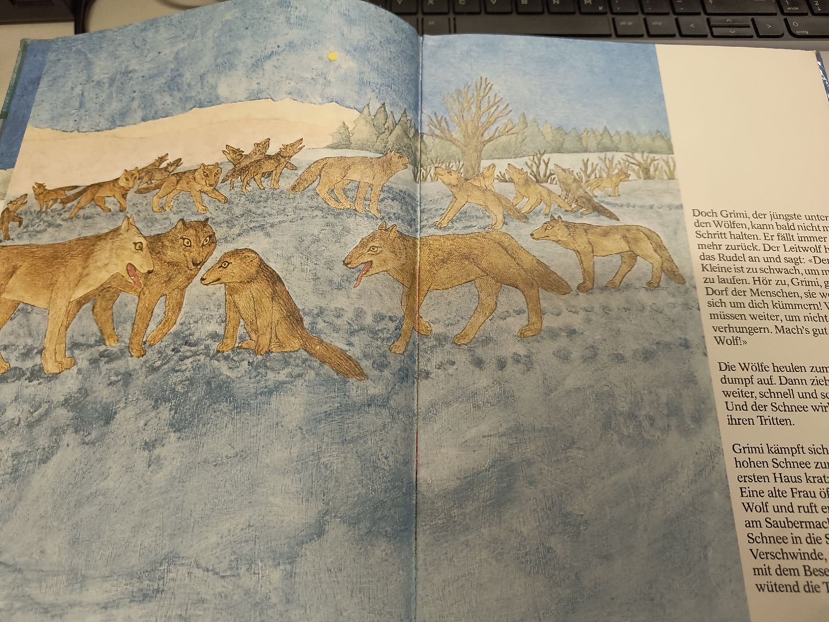 Libri: Winterliches Kinderbuch "Mach's gut kleiner Wolf" – Usato da Oberweningen venduto da Bumblebee2 1