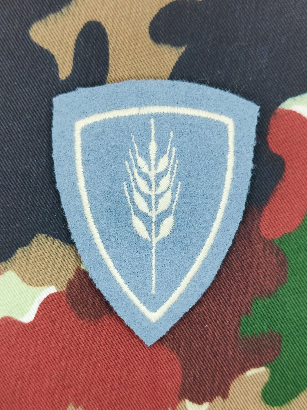 Schweizer Armee Placchette & Badge: Funktionsabzeichen Rechnungsführerin, Reproduktion – Usato da Bauma venduto da SwissMilitaria
