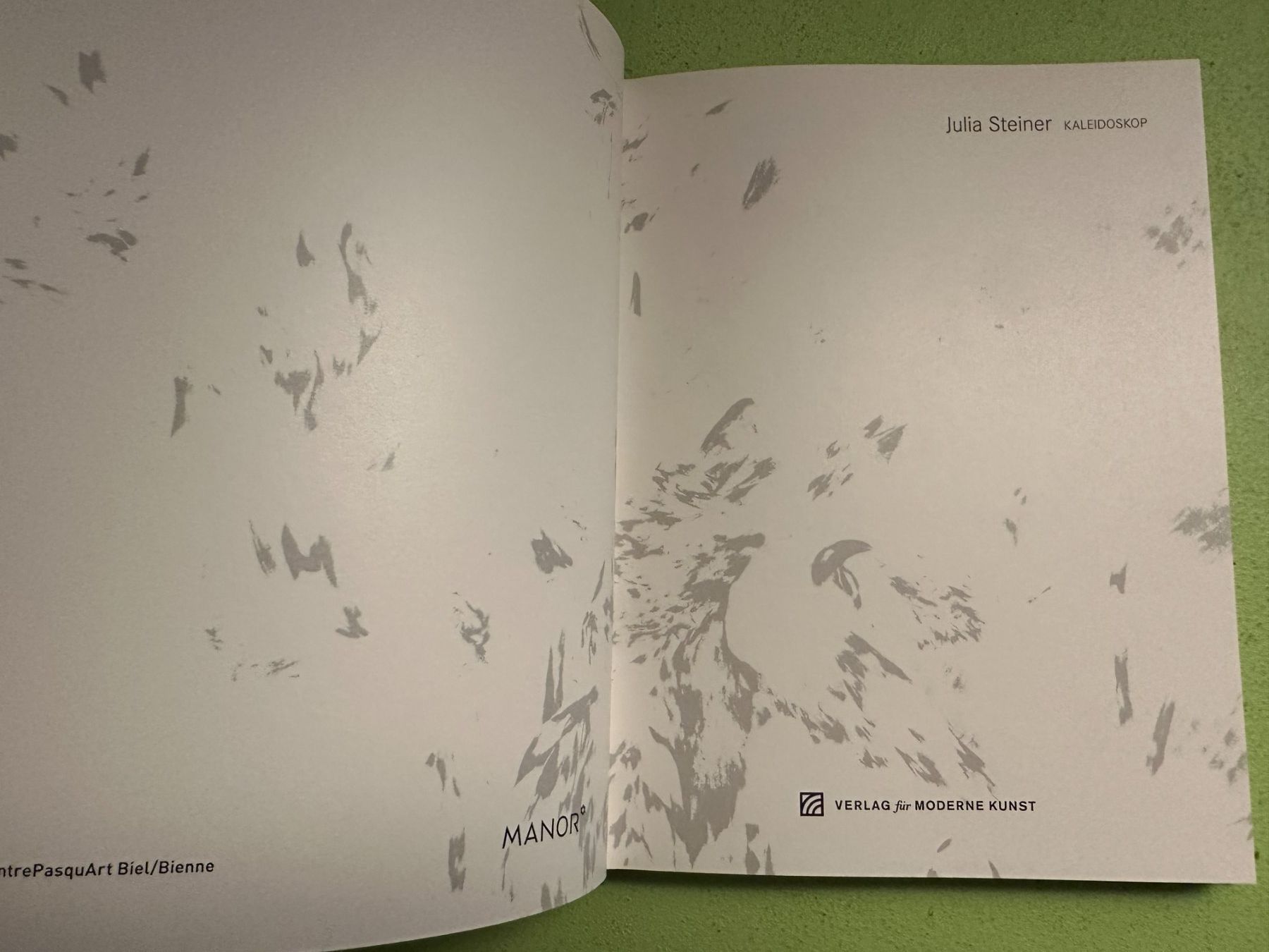 Libri: Julia Steiner: Kaleidoskop. d/f – Usato da Zürich venduto da allp 1