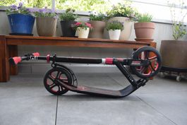 Frenzy FR250 – Tretroller für Erwachsene, 250‑mm‑Vorderrad
