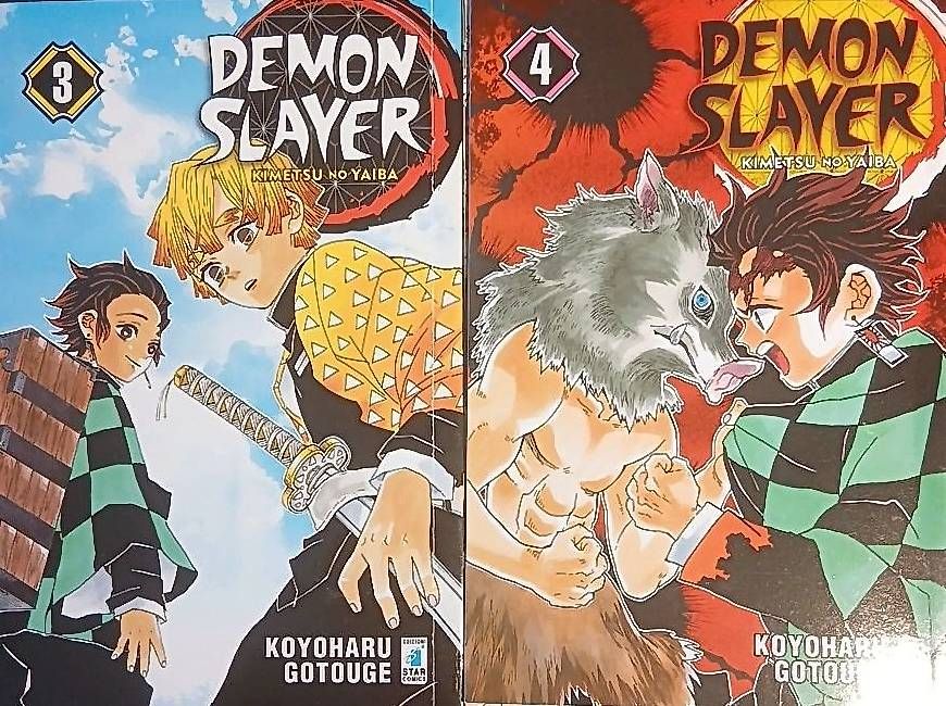 Comics: Demon Slayer Manga Volume 1-6 – Gebraucht aus Riva San Vitale von tobias.hub07 1