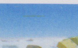 Alle Briefmarken: Variété 965 trait dans le ciel – Gebraucht aus Boécourt von Denteles66 1