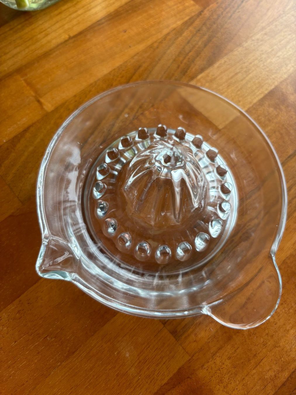 Elettrodomestici da cucina: Glass Lemon/Citrus Juicer, Kitchen Tool – Nuovo (secondo la descrizione) da Luzern venduto da mon_6rzf 3
