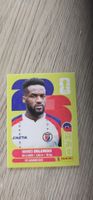Fifa World Cup Panini HAI 9