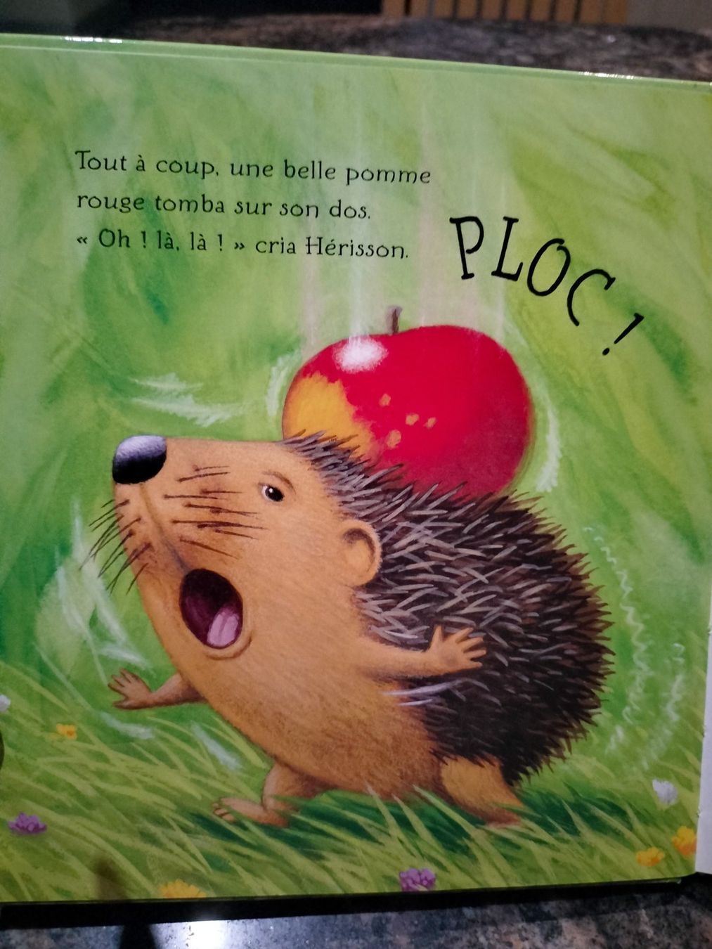 Bücher: La piquante aventure de hérisson – Gebraucht aus Cortaillod von rozinna 3
