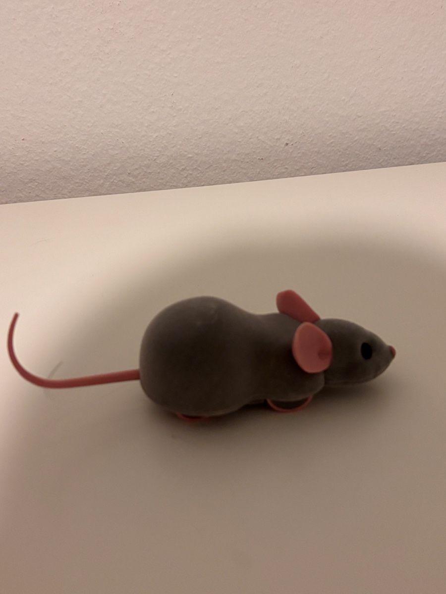 Giocattoli: MORE App-gesteuerter Mouse Racer – Nuovo (secondo la descrizione) da Basel venduto da Jillcaarmen 2