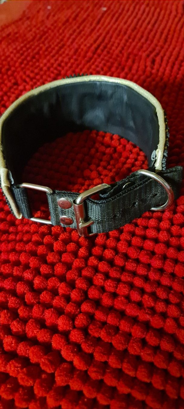 Guinzagli & Collari: Windhund Halsband – Usato da Bellerive VD venduto da Hermes5 3