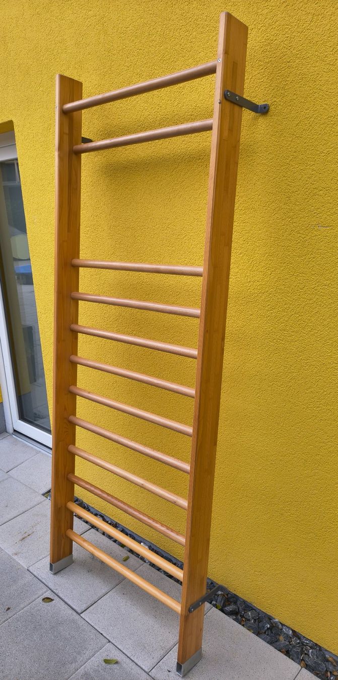 Hometrainer: Sprossenwand – Usato da Rothrist venduto da giw_l58l 1