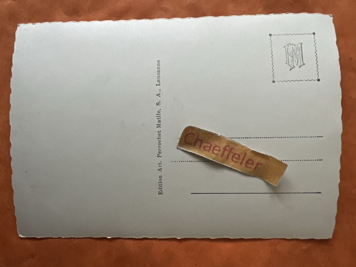 Cartoline postali: Originale Vintage Ansichtskarte Col des Mosses, Schweiz! – Usato da Zürich venduto da Chaeffeler 1