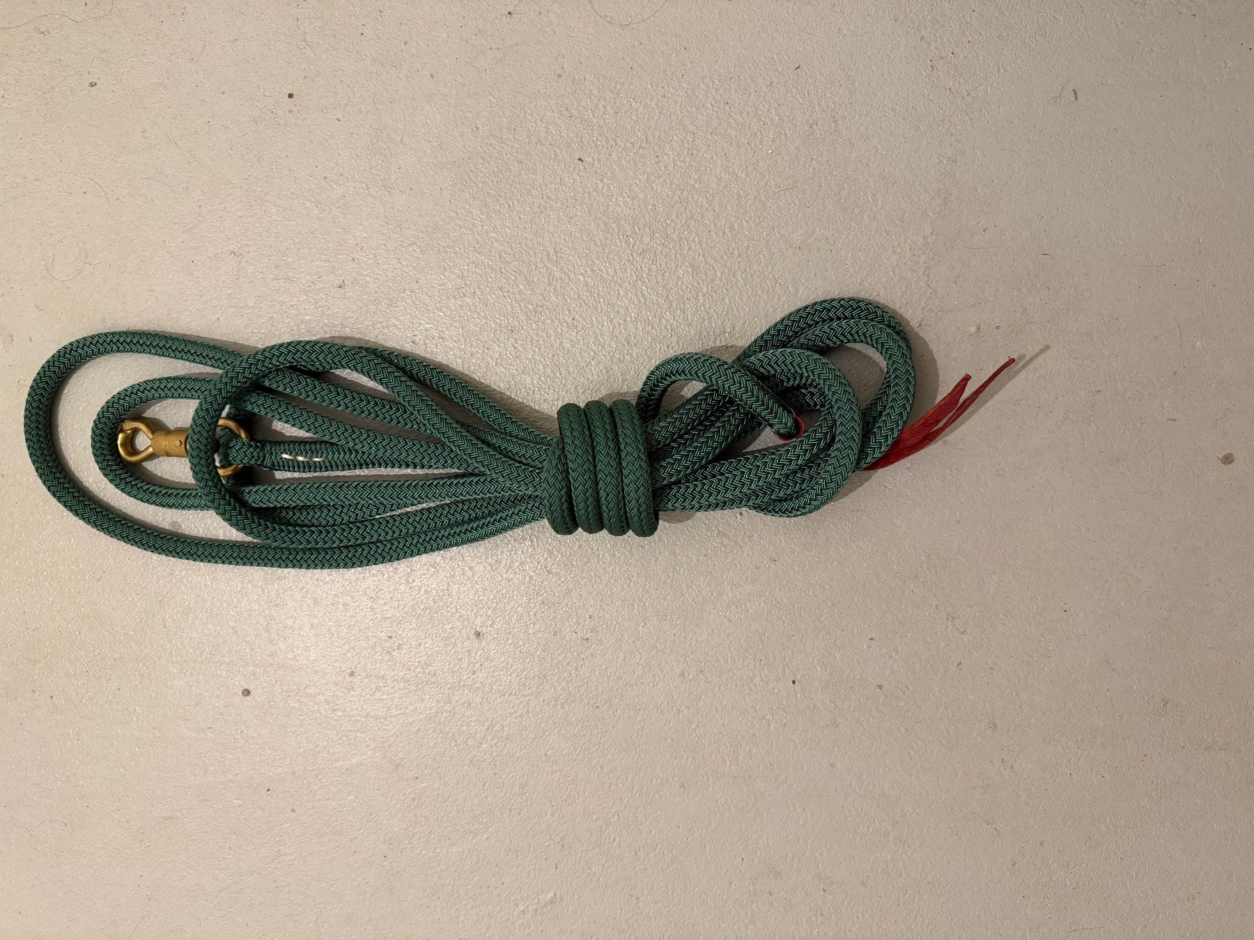 Briglie & Cavezze: Brockamp Lead Rope tannengrün – Nuovo (secondo la descrizione) da Zollikofen venduto da Maria_verena