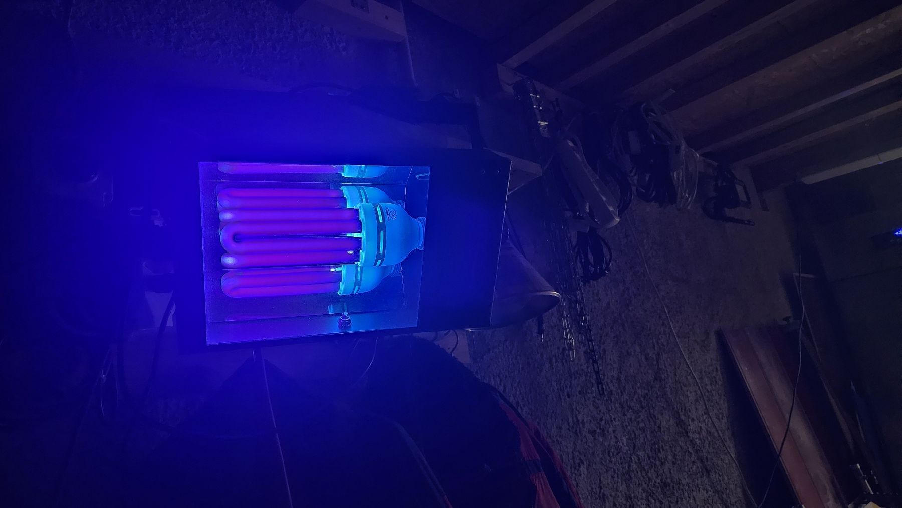 Lampade: UV Lampe – Usato da Oberriet SG venduto da stoopdario