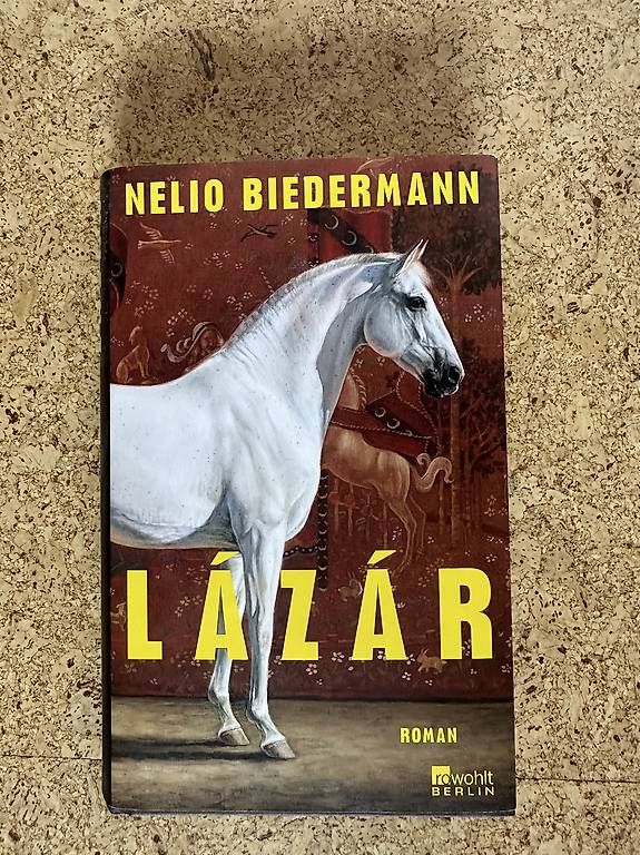 Bücher: Buch Lazar Bestseller  – Gebraucht aus Schleitheim von eni_m5qb