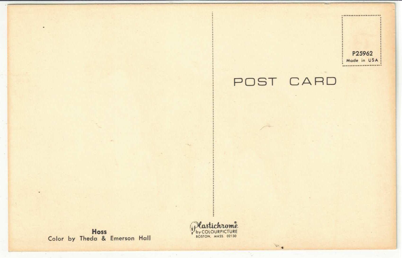 Cartes postales: Hoss - Indianer-Pferd cheval horse – D'occasion à Ettingen par Kartenplanet 1