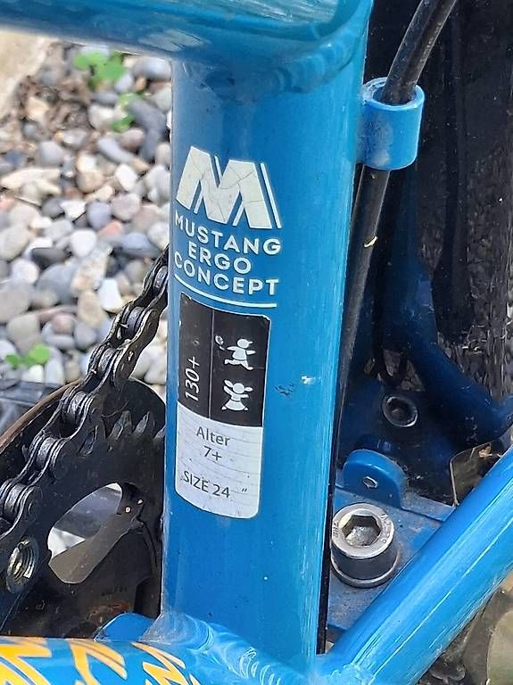 Biciclette: Mustang Jugendvelo Trailchecker – Usato da Basel venduto da Bernhard_C 1