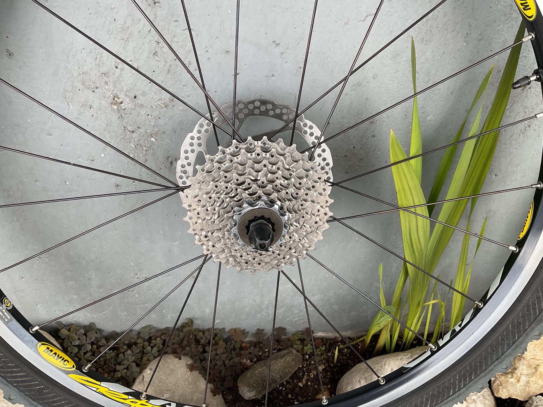 Mavic Pezzi di ricambio: Mavic 26 ´ – Usato da Neuchâtel venduto da sta_7qfy 5