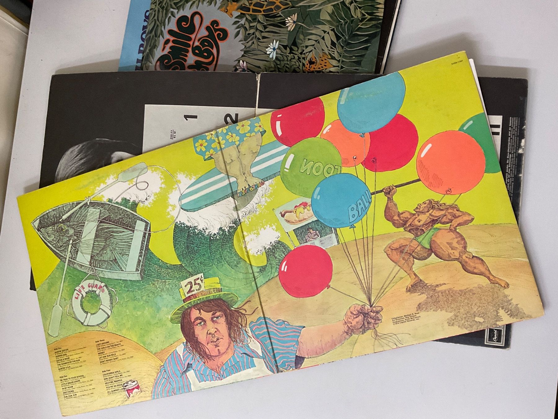 Dischi in vinile: The Beach Boys, diverse Schallplatten – Usato da Bern venduto da vielerart 8
