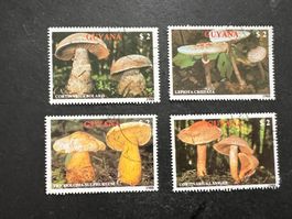 Guiana 1988  Mushrooms  Set gestempelt   (E260)