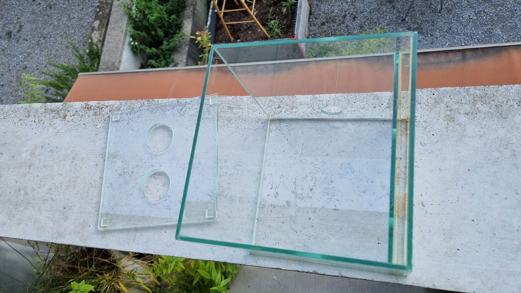 Terrarium: Formicarium / Ameisenarena – Gebraucht aus Zürich von faka01