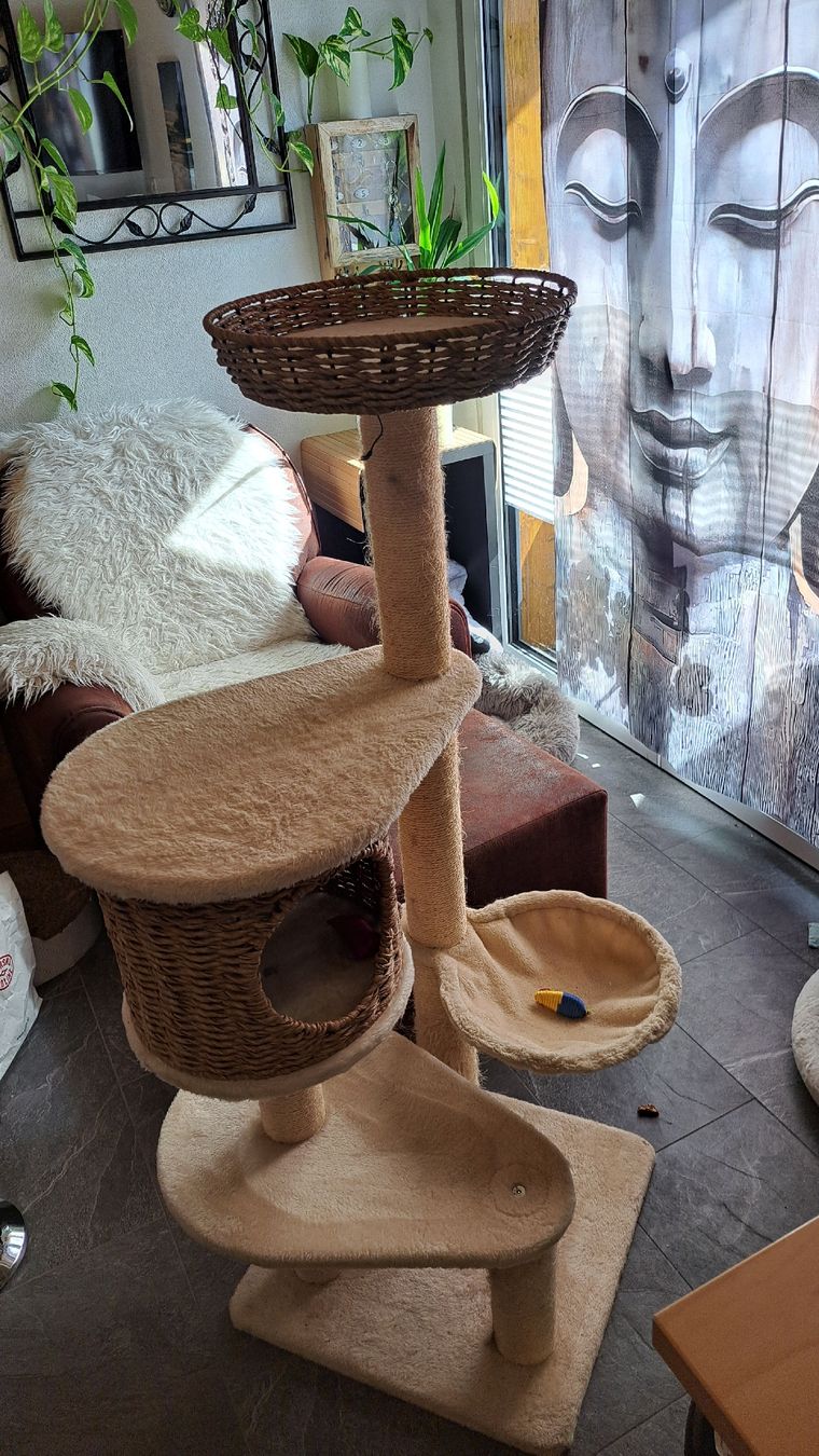 Katzenbaum - Kratzbaum: Karzenkratzbaum – Gebraucht aus Preles von crazydream