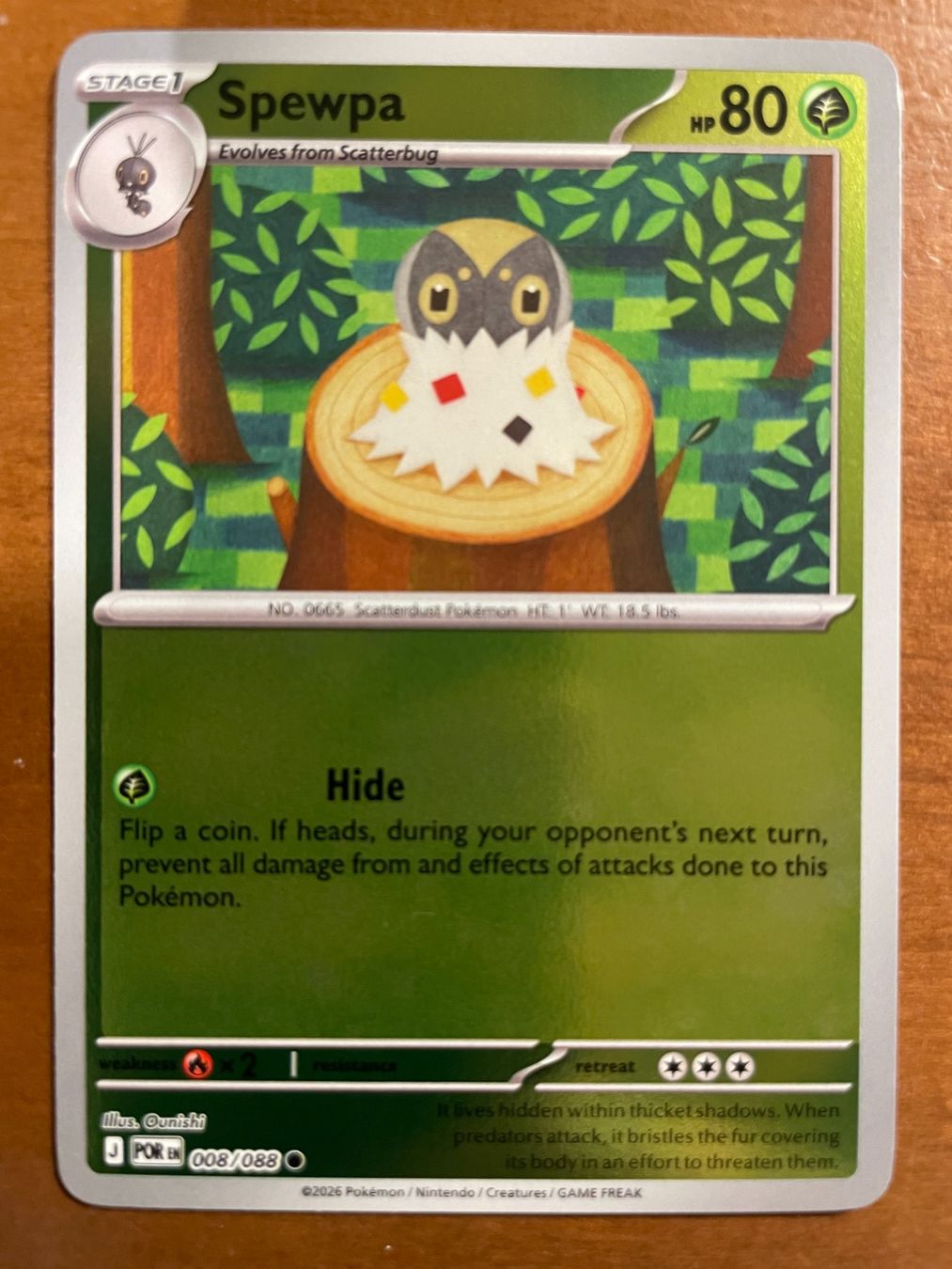 Pokémon Carte collezionabili: Pokemon Spewpa Reverse (Versand gratis) – Nuovo (secondo la descrizione) da Chur venduto da Angerson