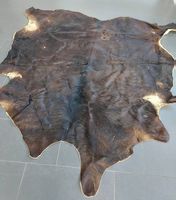 Wunderschönes, grosses Kuhfell – weich gegerbt – Blickfang