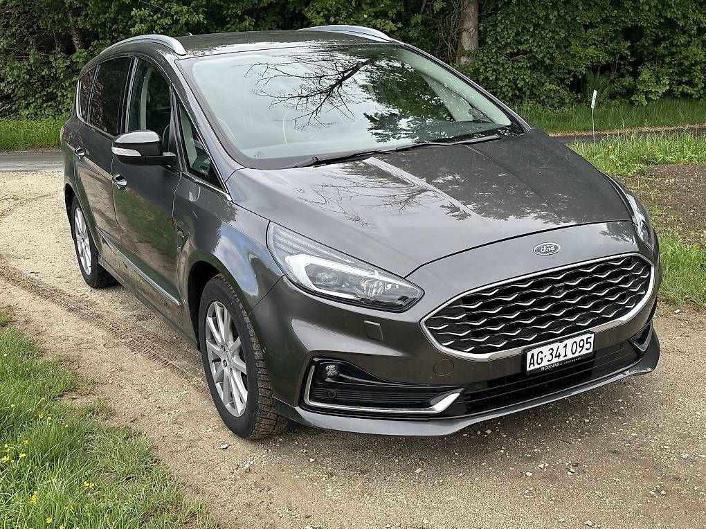 Ford Rimorchi: Ford S-max – Usato da Rothrist venduto da Chnupperi 1
