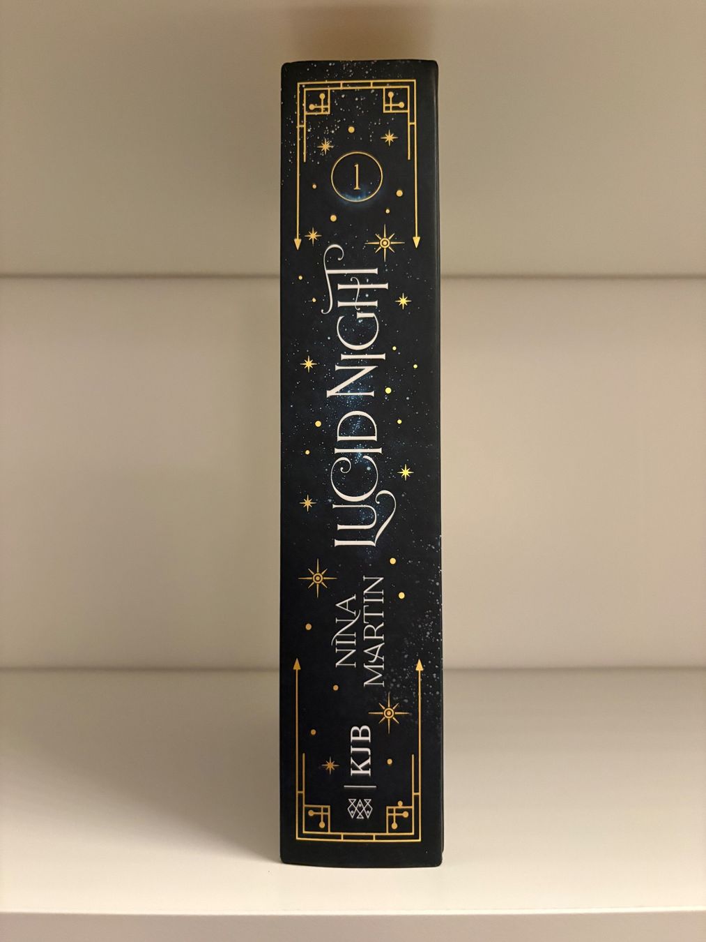 Libri: Lucid Night 1 - Nina Martin – Nuovo (secondo la descrizione) da Steffisburg venduto da elsa.catalina 2