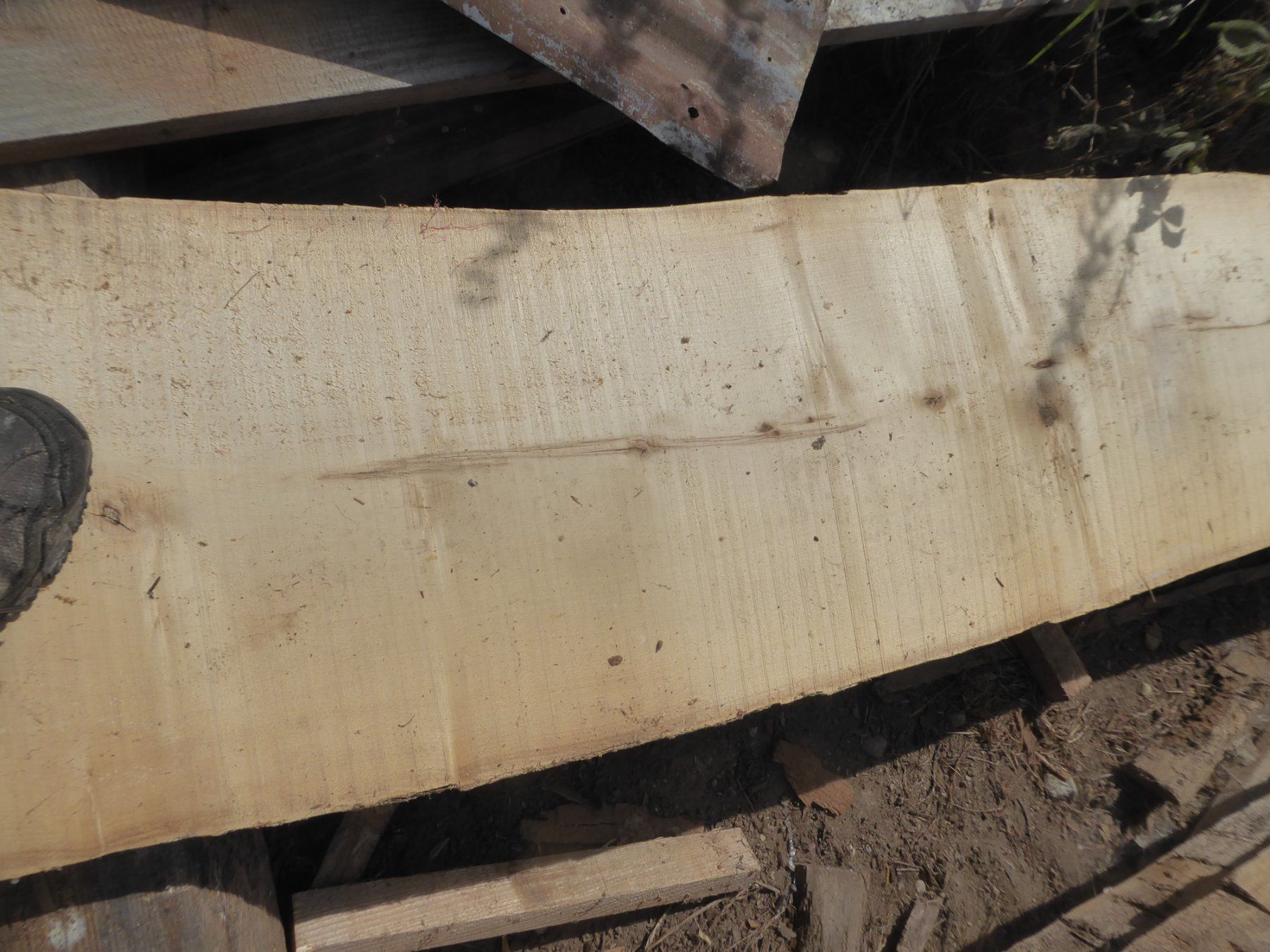 Articoli in legno: Eschenbrett 6 cm – Nuovo (secondo la descrizione) da Sumiswald venduto da Hennri1 2