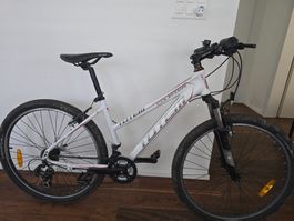 Velo, Alurahmen, Räder 26"