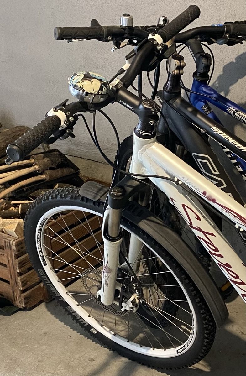 Stevens Biciclette: Damenbike STEVENS weiss – Usato da Rebstein venduto da sina1999 1