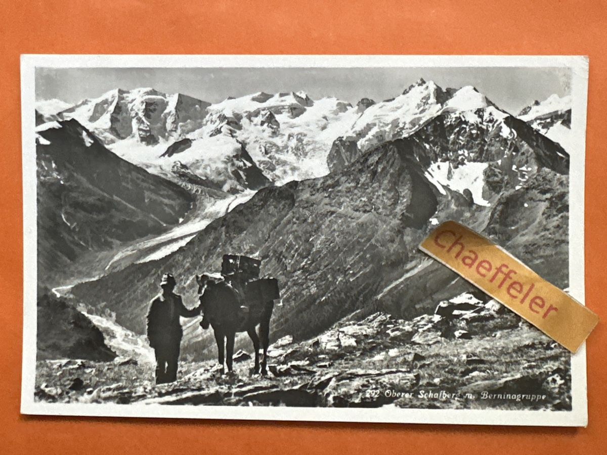 Cartoline postali: 292 oberer Schafberg mit Berninagruppe. – Usato da Zürich venduto da Chaeffeler