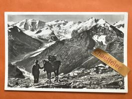 292 oberer Schafberg mit Berninagruppe.