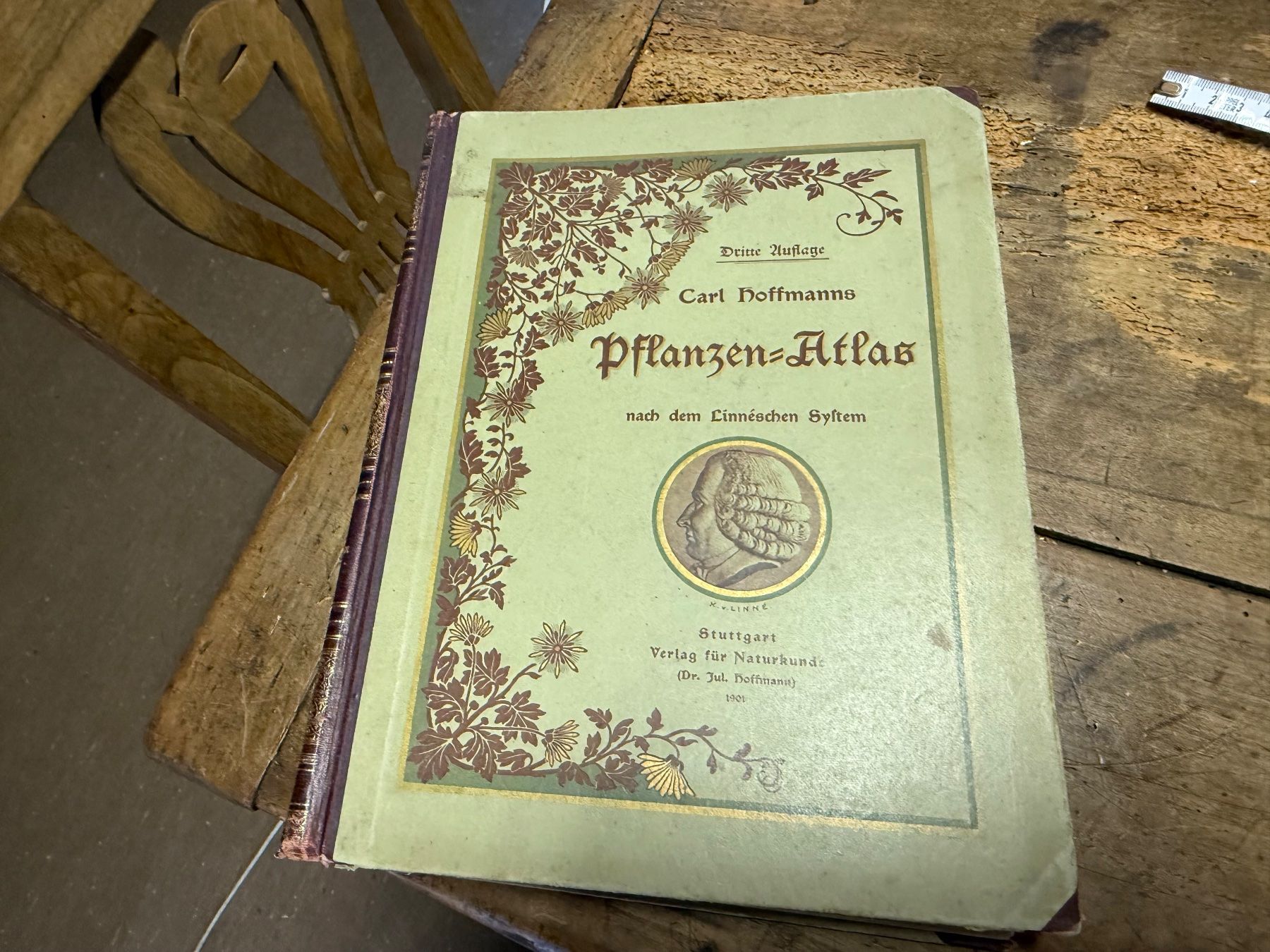 Libri: 1901 Carl Hoffmanns Pflanzenatlas – Usato da Bern venduto da Jwpm66