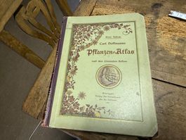 1901 Carl Hoffmanns Pflanzenatlas
