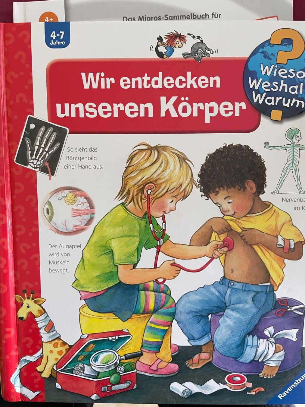 Libri: Buch Wieso Warum – Usato da Wil Sg venduto da mil_r9gx
