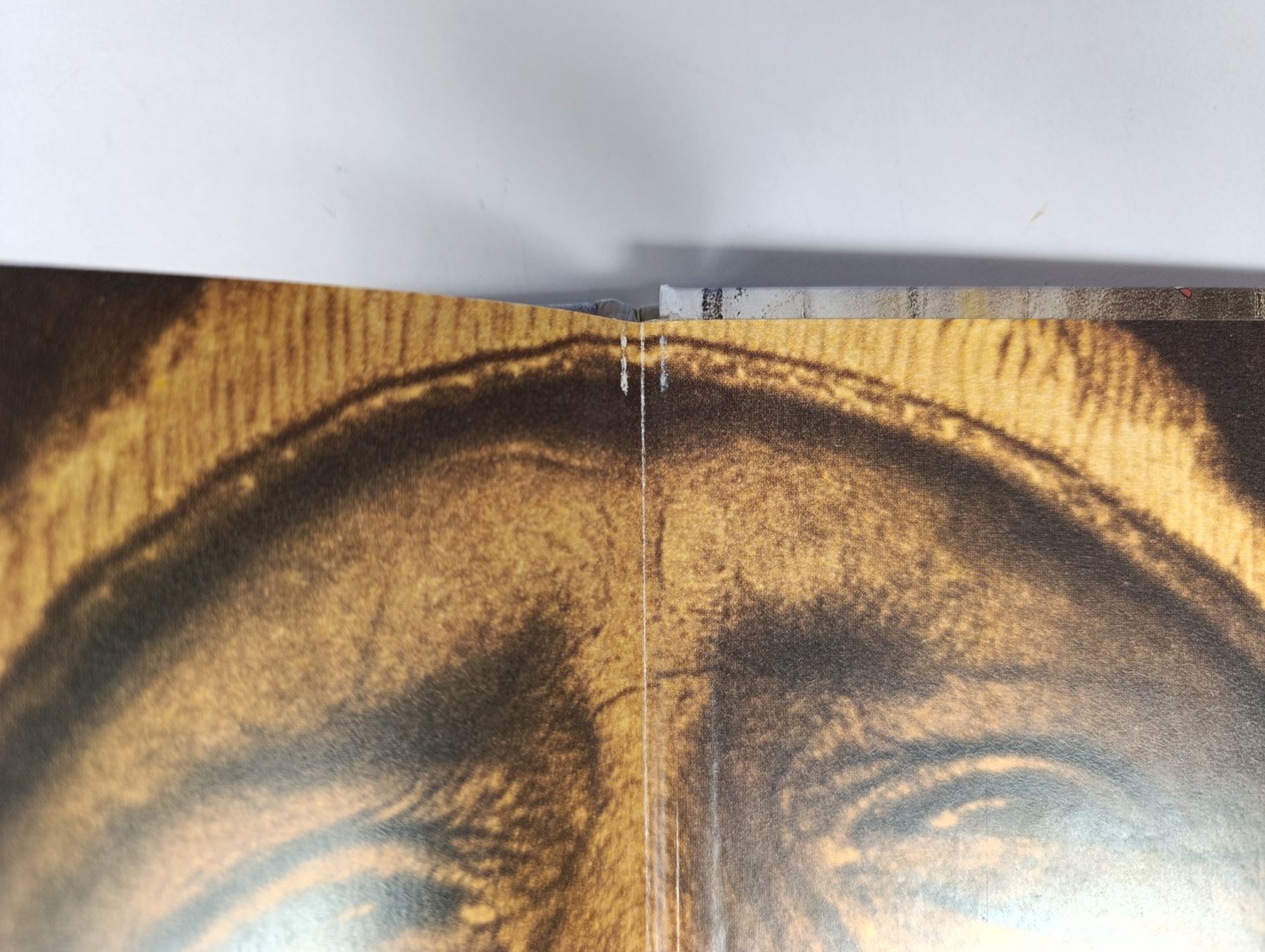 Libri: ALBIN MICHEL Paroles indiennes – Usato da Thielle venduto da Plusvalue_Neuchatel 2