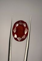 Ab 1 Fr. - 9.03 ct Hessonit-Granat Edelstein