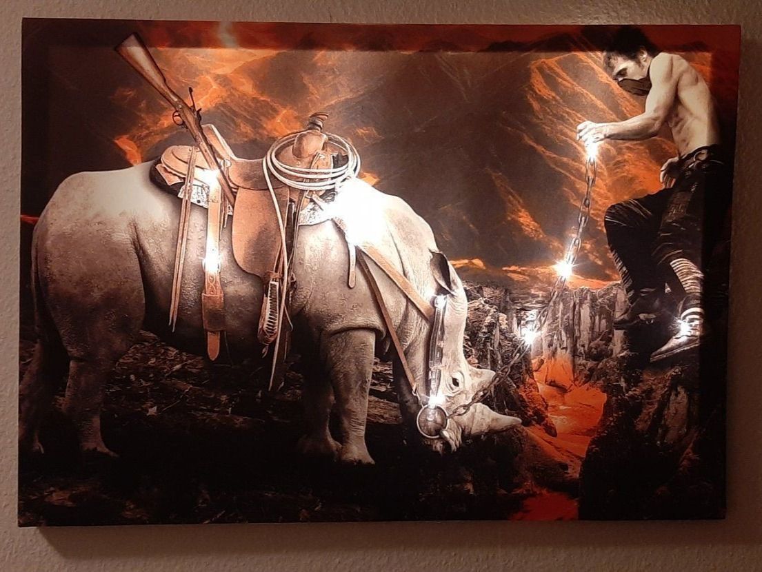 Poster & Bilder: LED Kunst BILD Nashorn und Mann 3D – Neu und originalverpackt aus Kilchberg ZH von ruedi34