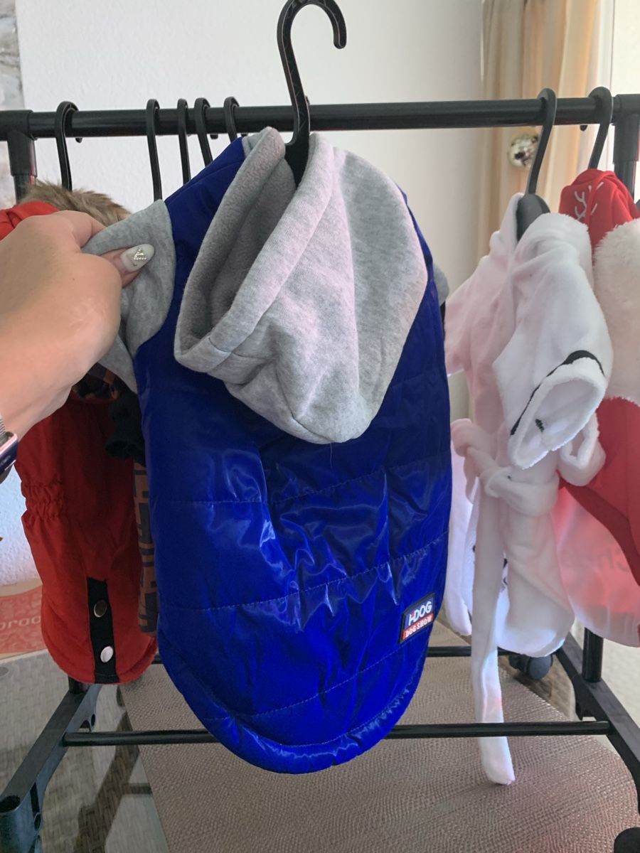 Bekleidung: Hundebekleidung Xl + XXL – Neu (gemäss Beschreibung) aus Emmenbrücke von Dior09 3