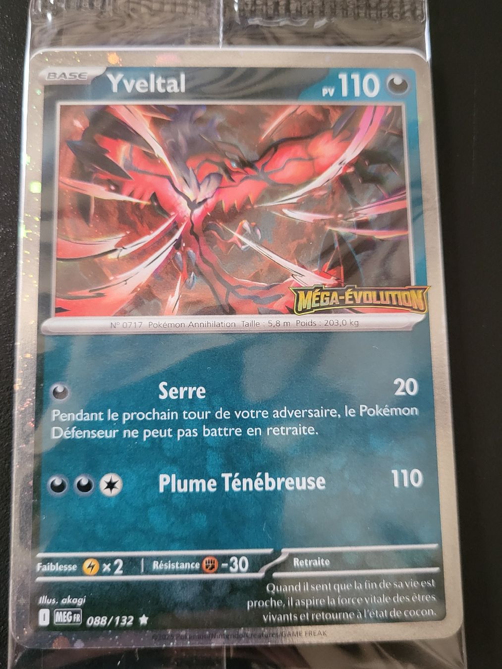 Pokémon Carte collezionabili: Promo Yveltal Mega Evolution – Nuovo e nell'imballaggio originale da St-Sulpice VD venduto da cel_ysf7