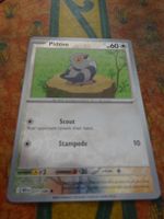 POKEMON  Pidove  I  BLK EN  071/086  HP60 2025