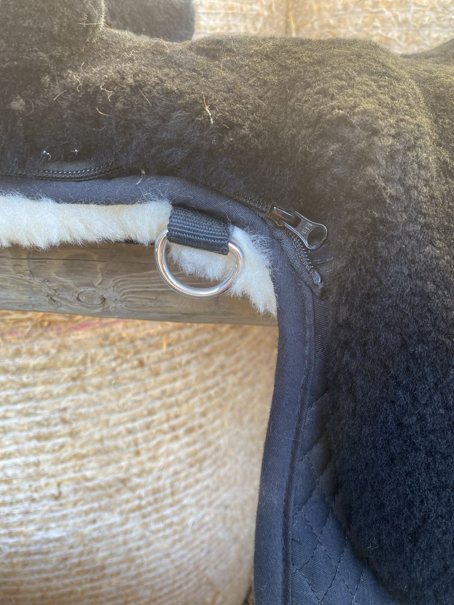 Selle & Accessori: Lammfell Sattel – Usato da Arth venduto da michelle_faessler 4