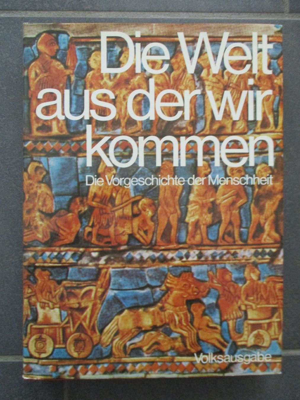 Libri: Die Welt aus der wir kommen – Nuovo (secondo la descrizione) da Büsingen venduto da aue_2mh6
