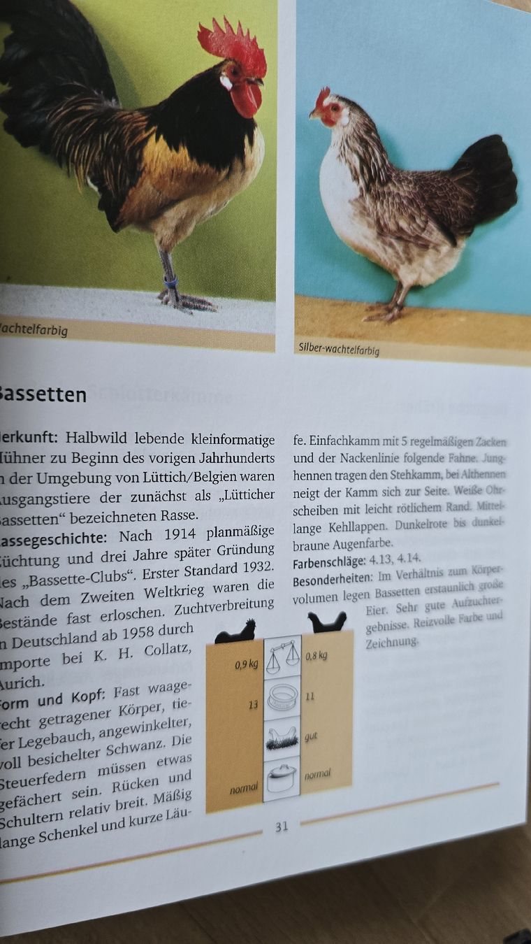 Libri: Rasse Geflügel Kompakt – Nuovo (secondo la descrizione) da Rüthi (Rheintal) venduto da Sinhue 6