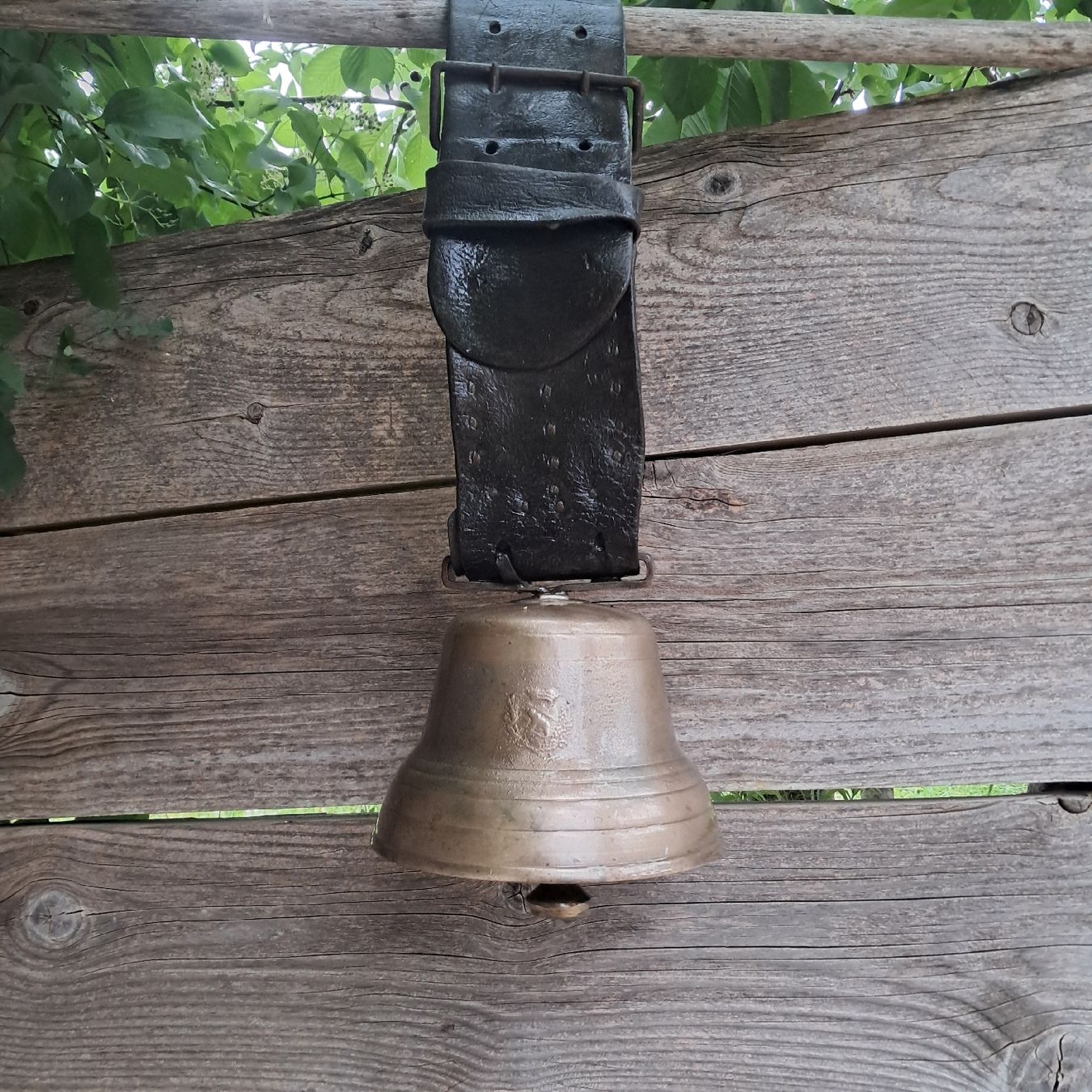 Campanacci mucche: ALTE/ANTIKE BIAGGI GLOCKE  – Usato da Murten venduto da SHETHOF 8