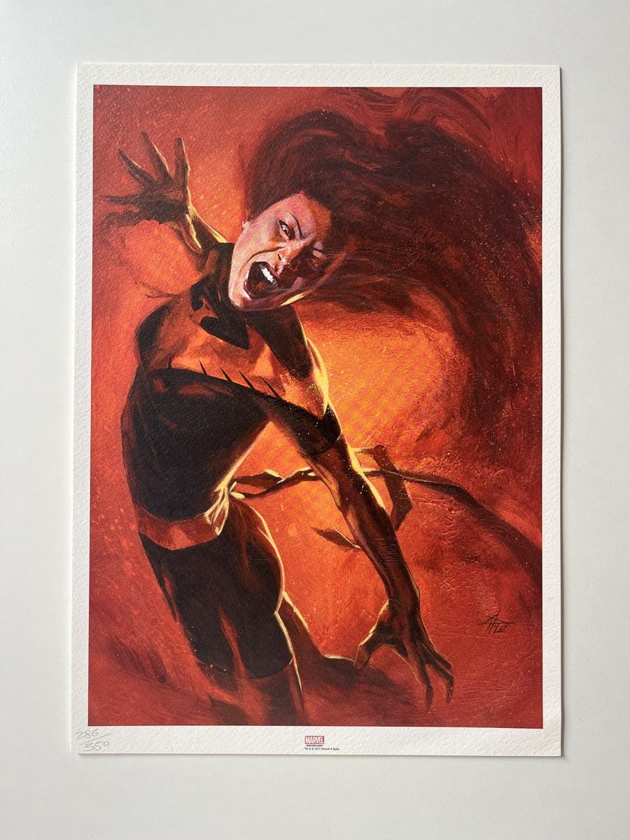 Comics: Dell'Otto Marvel Dark Side 2012 Hardcover Portfolio - Signed – Neu (gemäss Beschreibung) aus Lugano von VariousCollection 8